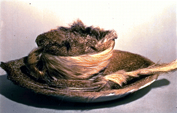 Text Box:    Meret Oppenheim, Object, 1936.  Actual textures are presented in an unexpected manner in this surrealist work.  Fur covered cup saucer and spoon.  Museum of Modern Art, New York 