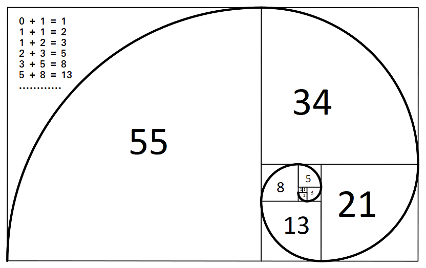 fibonacci proportion