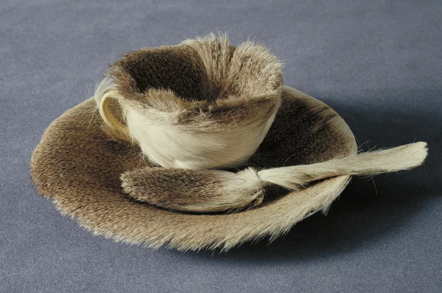 fur cup texture