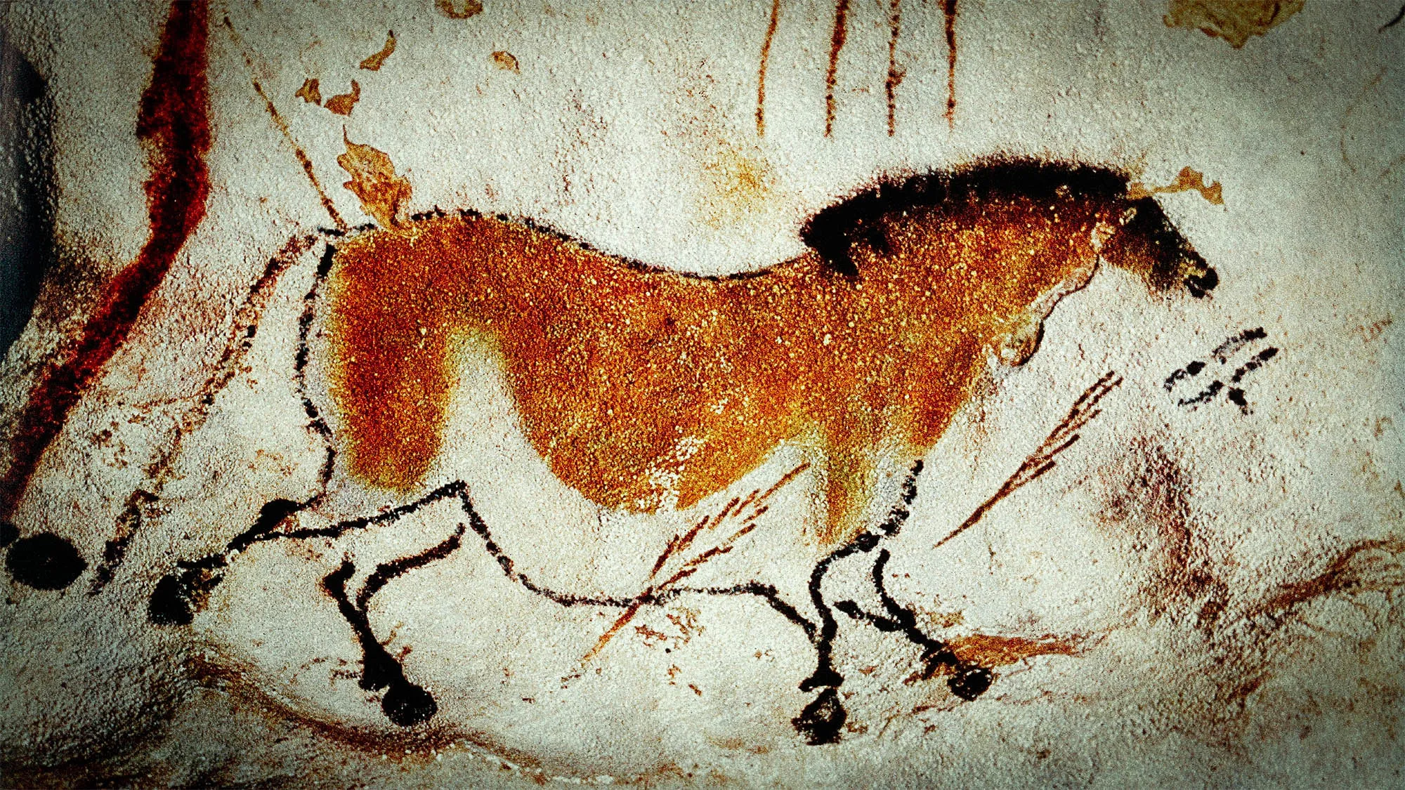 Lascaux cave art Lascaux cave art