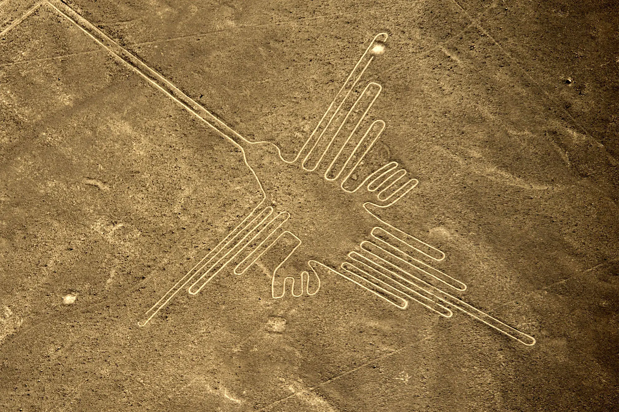 Nazca humminbird, 50 meters long. Nazca hummingbird
